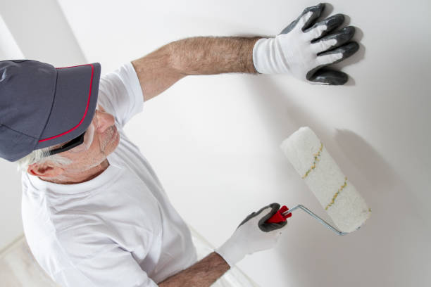 Asbestos and Lead Testing During Mold Inspection in Puhi, HI