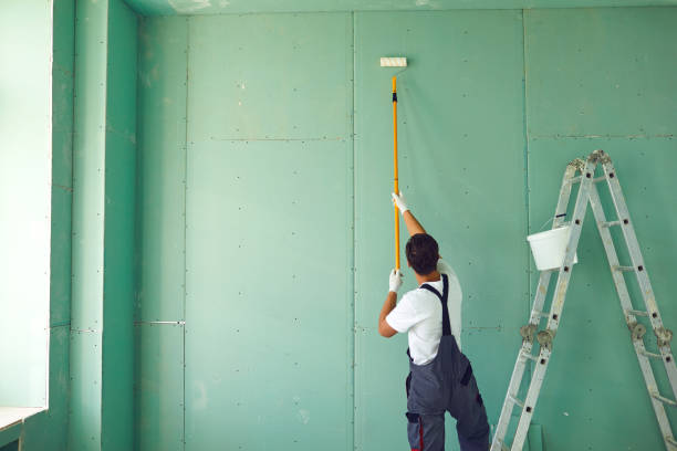 Trusted Puhi, HI Mold Removal Experts
