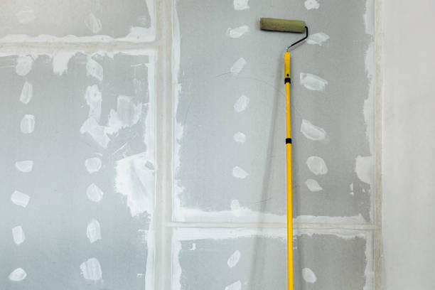 Best Attic Mold Removal  in Pu, HI