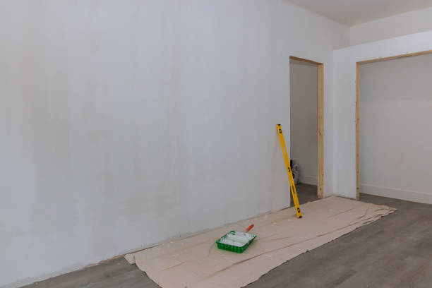 Best Black Mold Removal  in Pu, HI