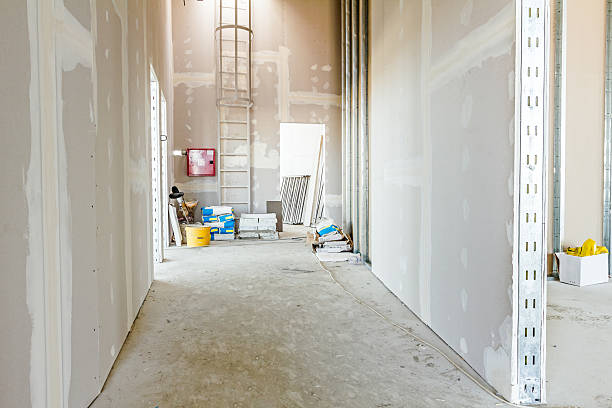 Best Mold Removal for HVAC Installations  in Pu, HI