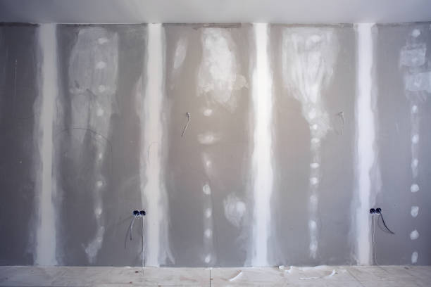 Mold Removal for HVAC Installations in Puhi, HI