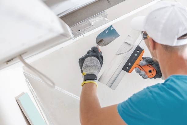 Forensic Mold Investigation in Puhi, HI
